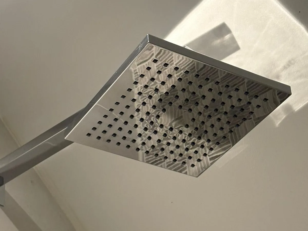 Shower head descaled and polished after a deep clean