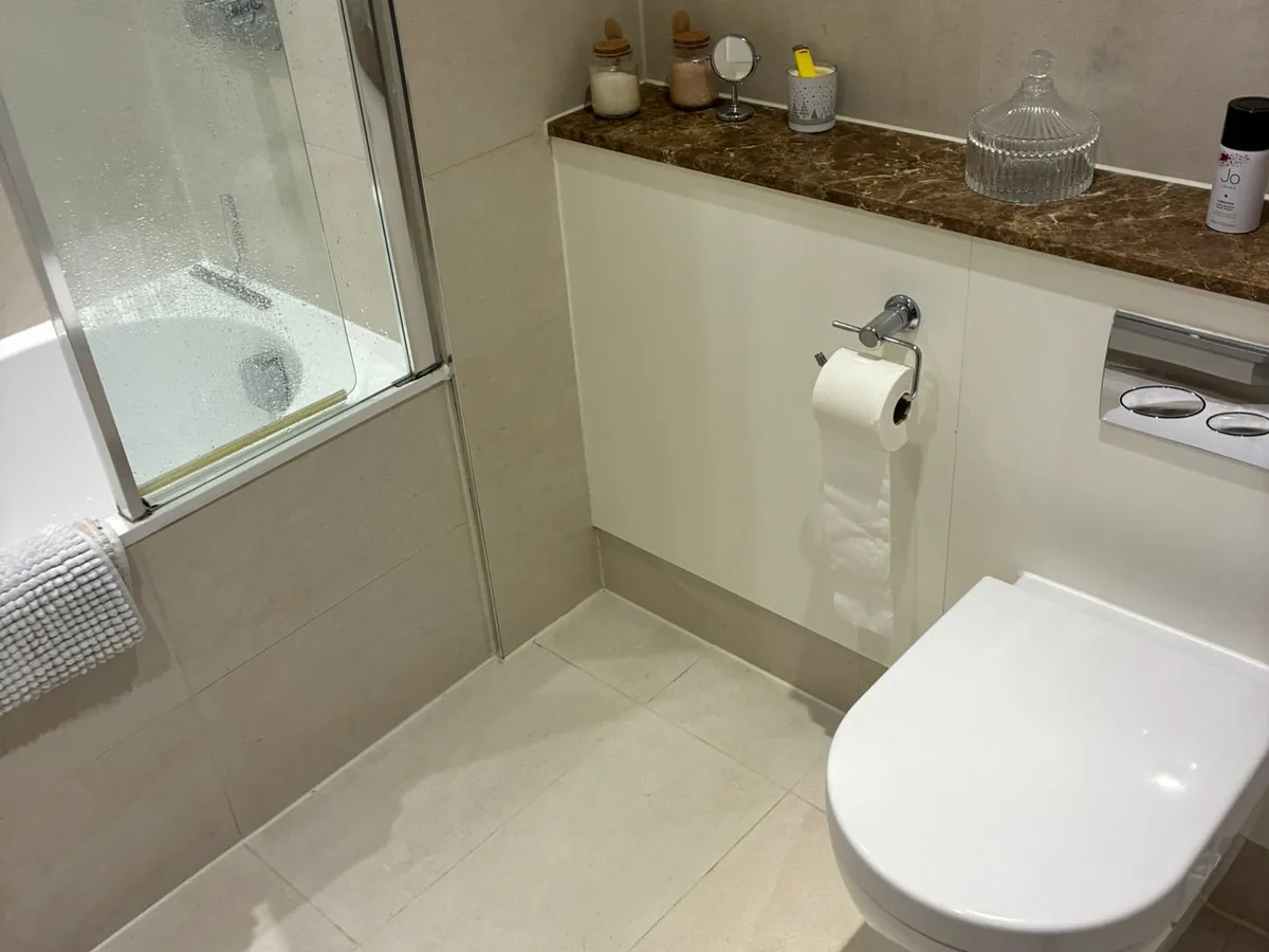 Clean bathroom shower and toilet after a regular domestic clean